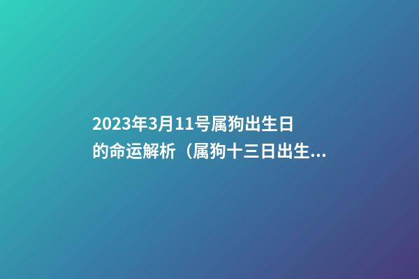 2023年3月11号属狗出生日的命运解析（属狗十三日出生人的命运）