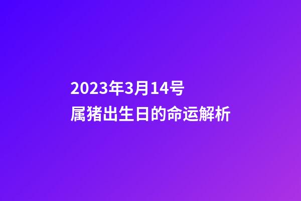 2023年3月14号属猪出生日的命运解析