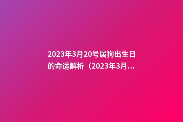 2023年3月20号属狗出生日的命运解析（2023年3月20日出生是什么命）