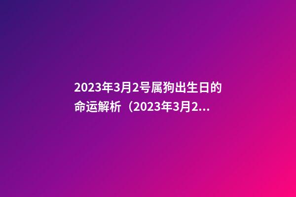 2023年3月2号属狗出生日的命运解析（2023年3月2号属狗出生日的命运解析图）