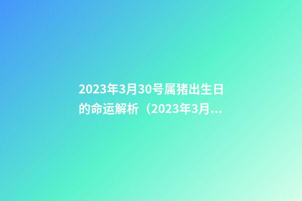 2023年3月30号属猪出生日的命运解析（2023年3月30号属猪出生日的命运解析图）