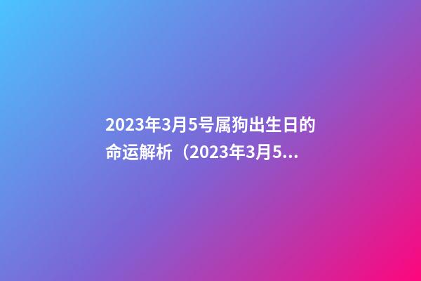 2023年3月5号属狗出生日的命运解析（2023年3月5号属狗出生日的命运解析图）