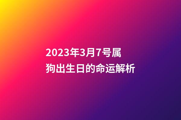 2023年3月7号属狗出生日的命运解析