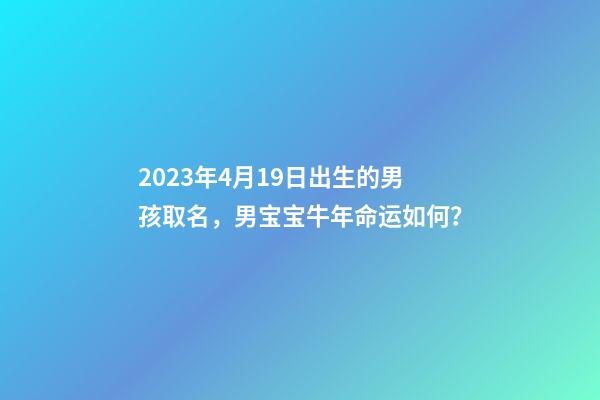 2023年4月19日出生的男孩取名，男宝宝牛年命运如何？