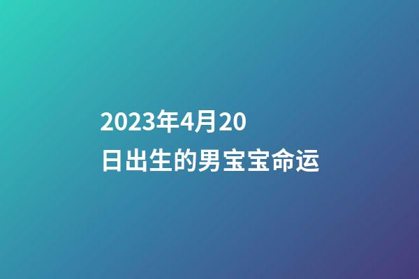 2023年4月20日出生的男宝宝命运