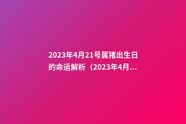 2023年4月21号属猪出生日的命运解析（2023年4月21号属猪出生日的命运解析图）