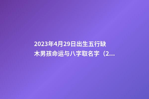 2023年4月29日出生五行缺木男孩命运与八字取名字（2023年4月29日出生五行缺木男孩命运与八字取名字相冲）