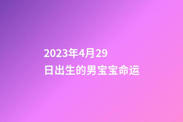 2023年4月29日出生的男宝宝命运
