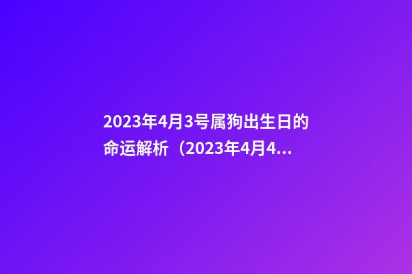 2023年4月3号属狗出生日的命运解析（2023年4月4号出生的狗是什么命）