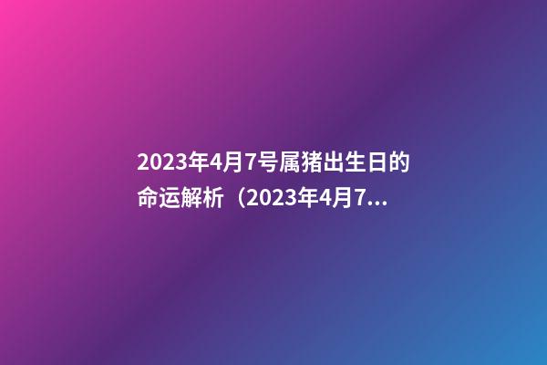 2023年4月7号属猪出生日的命运解析（2023年4月7号属猪出生日的命运解析图）