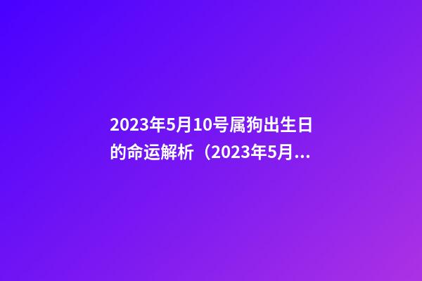 2023年5月10号属狗出生日的命运解析（2023年5月10号属狗出生日的命运解析图）