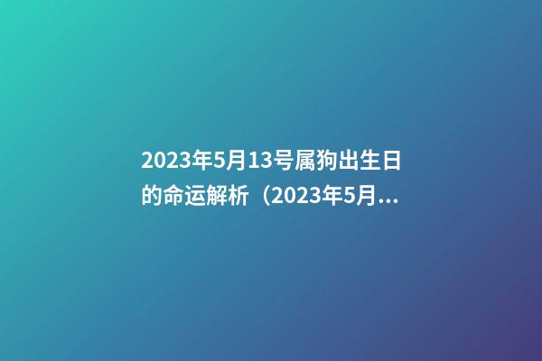 2023年5月13号属狗出生日的命运解析（2023年5月13号属狗出生日的命运解析图）