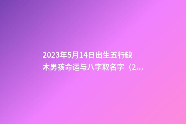 2023年5月14日出生五行缺木男孩命运与八字取名字（2023年5月14日出生五行缺木男孩命运与八字取名字吉凶）
