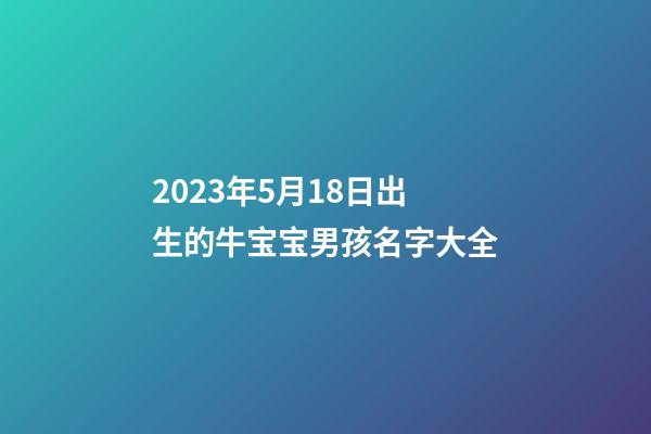 2023年5月18日出生的牛宝宝男孩名字大全