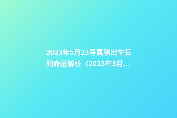 2023年5月23号属猪出生日的命运解析（2023年5月23号属猪出生日的命运解析图）