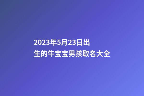 2023年5月23日出生的牛宝宝男孩取名大全