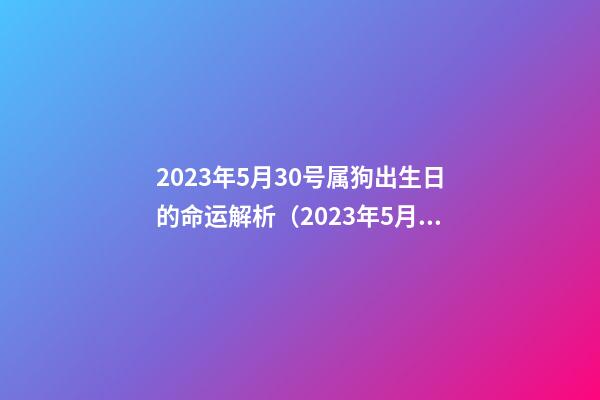 2023年5月30号属狗出生日的命运解析（2023年5月30日出生是什么命）