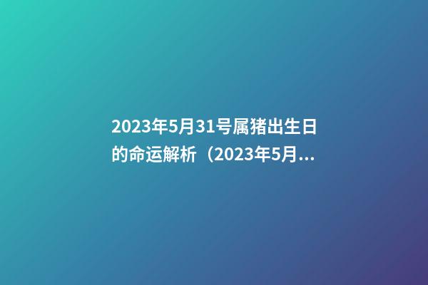 2023年5月31号属猪出生日的命运解析（2023年5月31号属猪出生日的命运解析图）