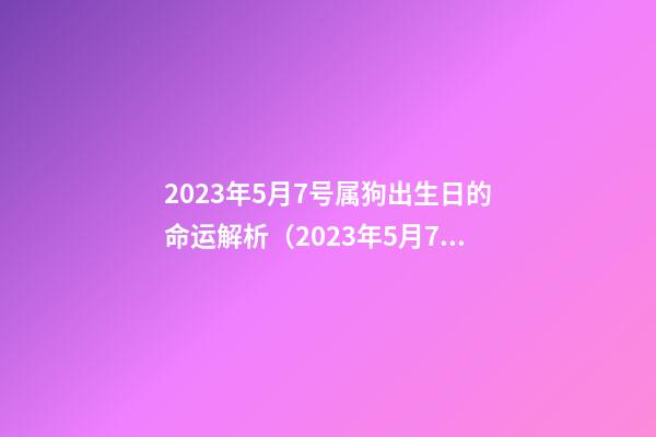 2023年5月7号属狗出生日的命运解析（2023年5月7号属狗出生日的命运解析图）
