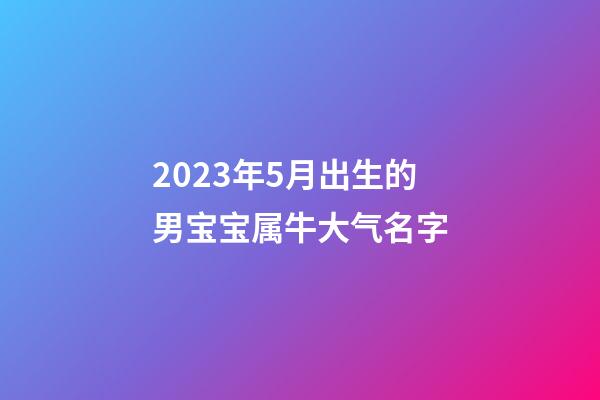 2023年5月出生的男宝宝属牛大气名字