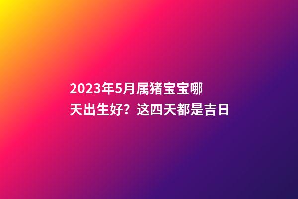 2023年5月属猪宝宝哪天出生好？这四天都是吉日