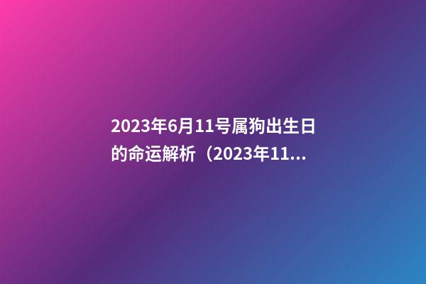 2023年6月11号属狗出生日的命运解析（2023年11月6日出生的人命运）