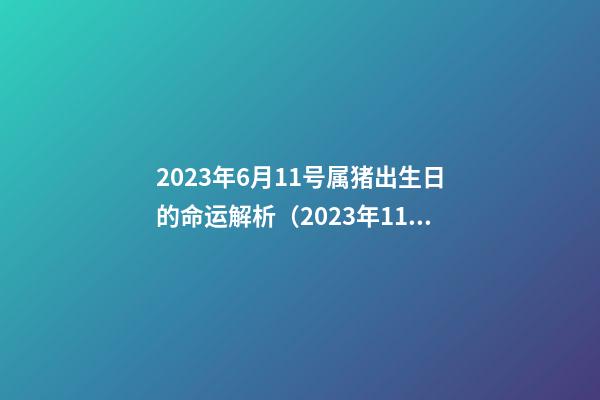 2023年6月11号属猪出生日的命运解析（2023年11月6日出生是什么命）