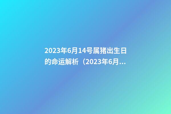 2023年6月14号属猪出生日的命运解析（2023年6月14号属猪出生日的命运解析一下）