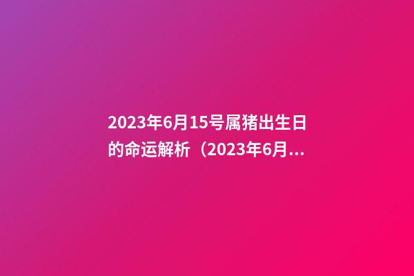 2023年6月15号属猪出生日的命运解析（2023年6月15号属猪出生日的命运解析一下）