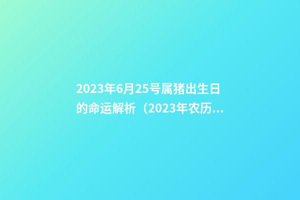 2023年6月25号属猪出生日的命运解析（2023年农历6月25出生的猪宝宝好不好）