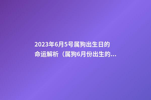 2023年6月5号属狗出生日的命运解析（属狗6月份出生的命运）