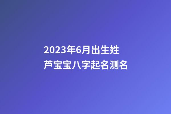 2023年6月出生姓芦宝宝八字起名测名