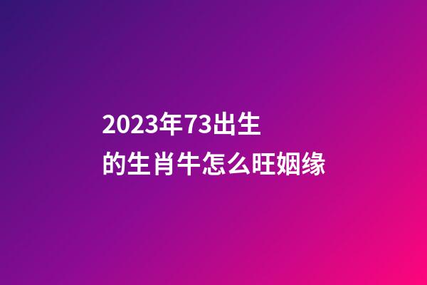 2023年73出生的生肖牛怎么旺姻缘