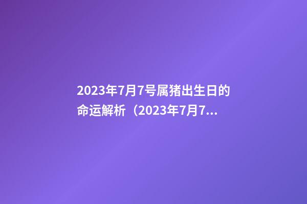 2023年7月7号属猪出生日的命运解析（2023年7月7号属猪出生日的命运解析图）