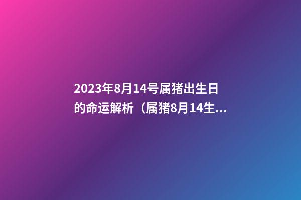 2023年8月14号属猪出生日的命运解析（属猪8月14生日好不好）