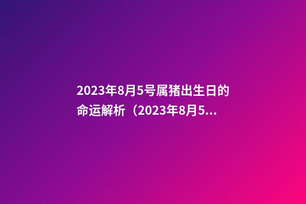 2023年8月5号属猪出生日的命运解析（2023年8月5号属猪出生日的命运解析一下）
