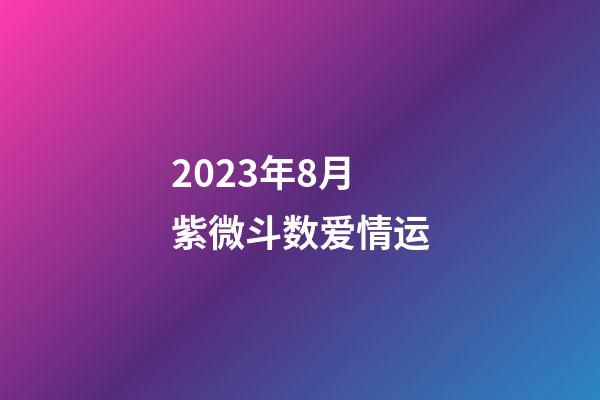 2023年8月紫微斗数爱情运
