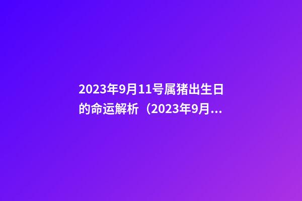 2023年9月11号属猪出生日的命运解析（2023年9月11号属猪出生日的命运解析图）