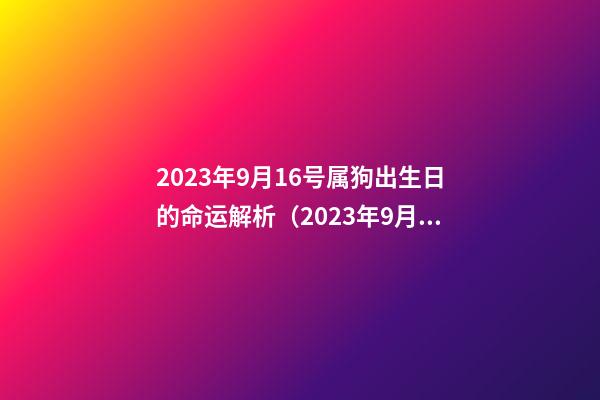 2023年9月16号属狗出生日的命运解析（2023年9月16日出生是什么命）