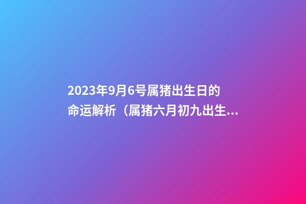 2023年9月6号属猪出生日的命运解析（属猪六月初九出生的人）