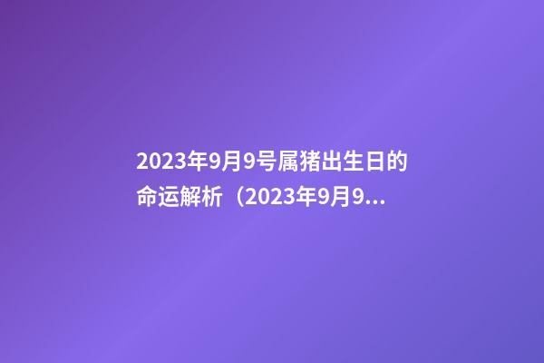 2023年9月9号属猪出生日的命运解析（2023年9月9号属猪出生日的命运解析图）