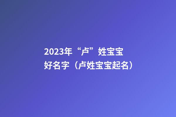 2023年“卢”姓宝宝好名字（卢姓宝宝起名）