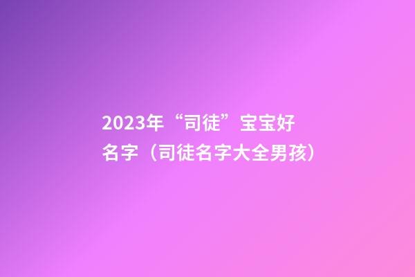 2023年“司徒”宝宝好名字（司徒名字大全男孩）