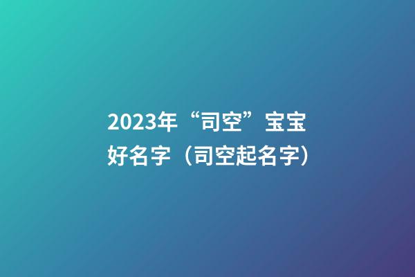 2023年“司空”宝宝好名字（司空起名字）