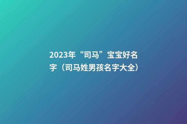 2023年“司马”宝宝好名字（司马姓男孩名字大全）