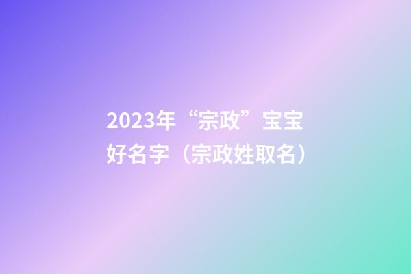 2023年“宗政”宝宝好名字（宗政姓取名）