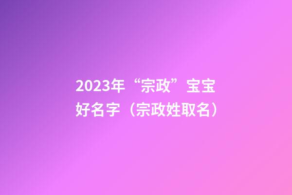 2023年“宗政”宝宝好名字（宗政姓取名）