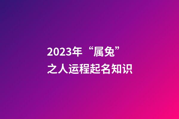 2023年“属兔”之人运程起名知识