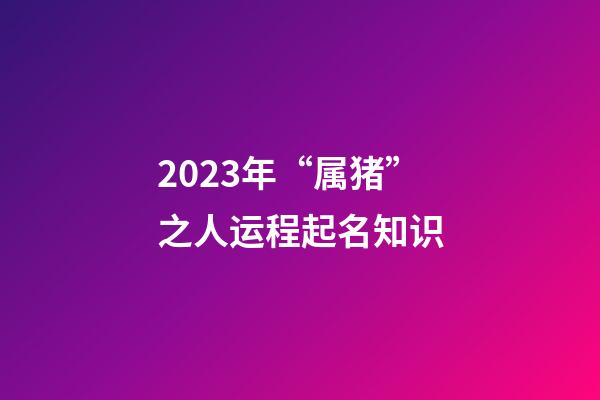 2023年“属猪”之人运程起名知识