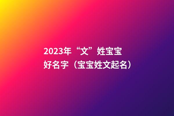 2023年“文”姓宝宝好名字（宝宝姓文起名）